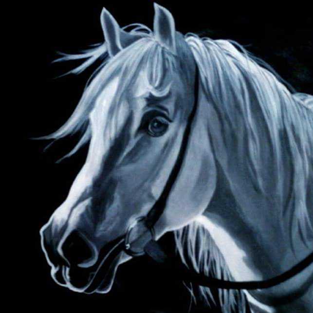 My Horse