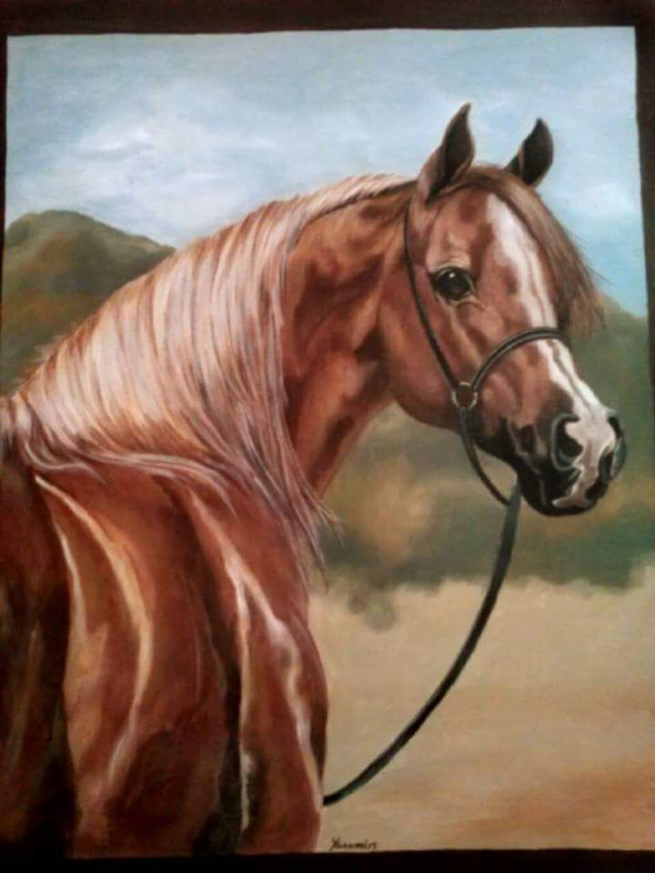 My Horse 2