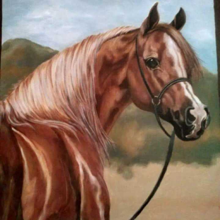 My Horse 2