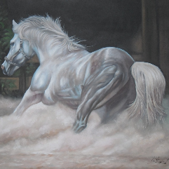 Arabian Horse