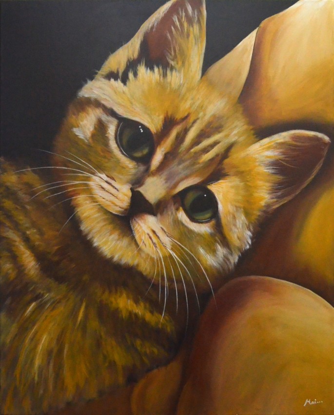 Lovely Cat
