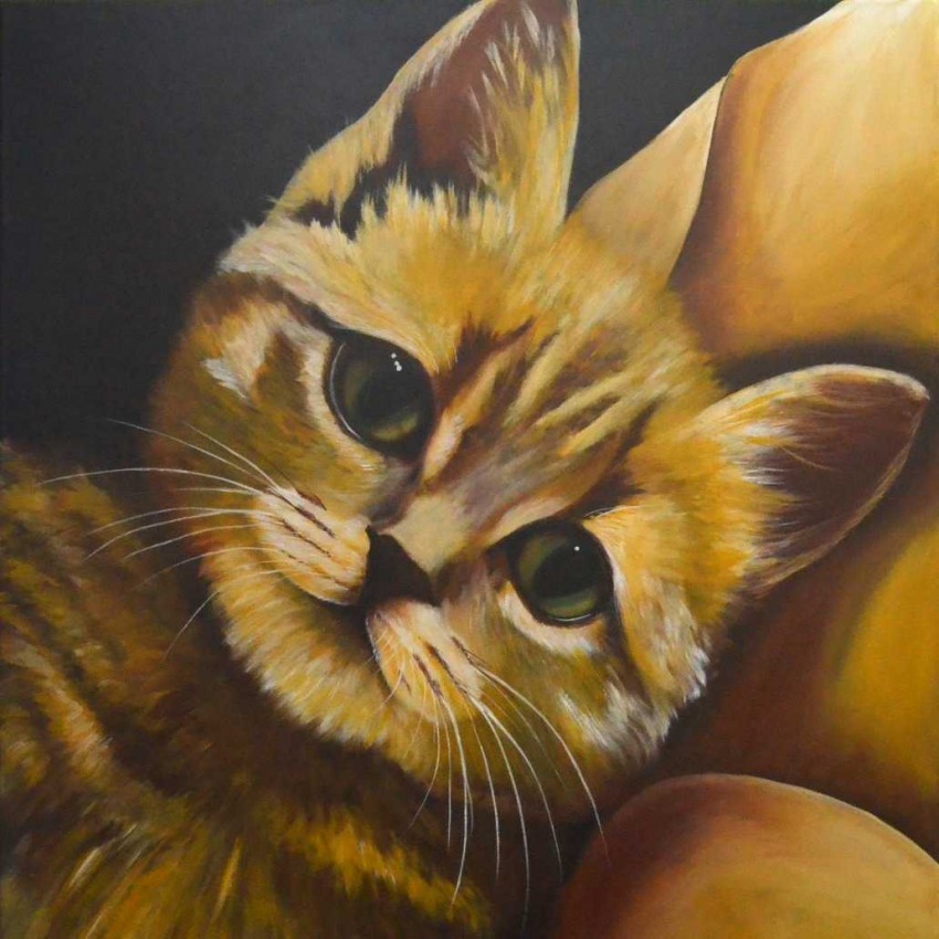 Lovely Cat