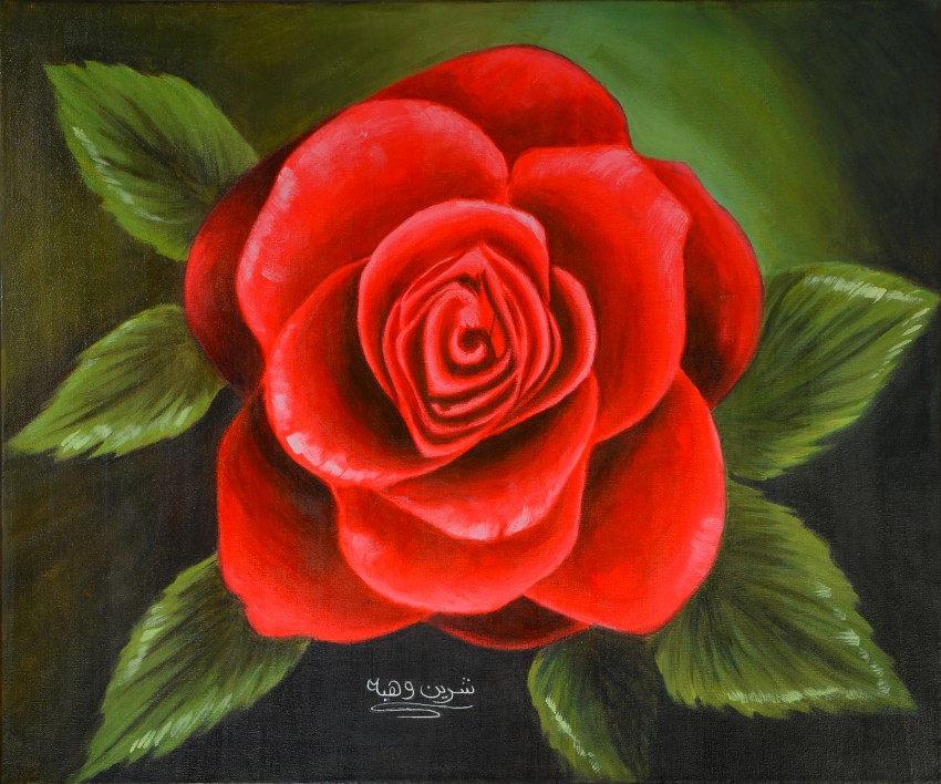 Red Rose