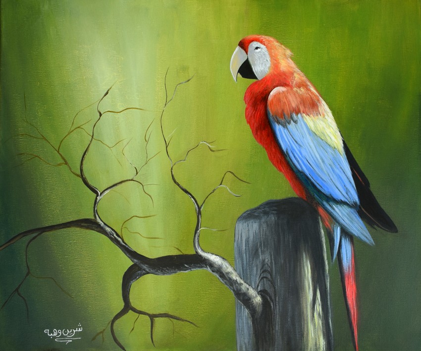 Calm Parrot