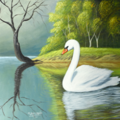 The Swan