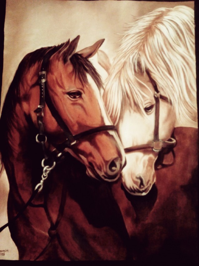 Horse 3