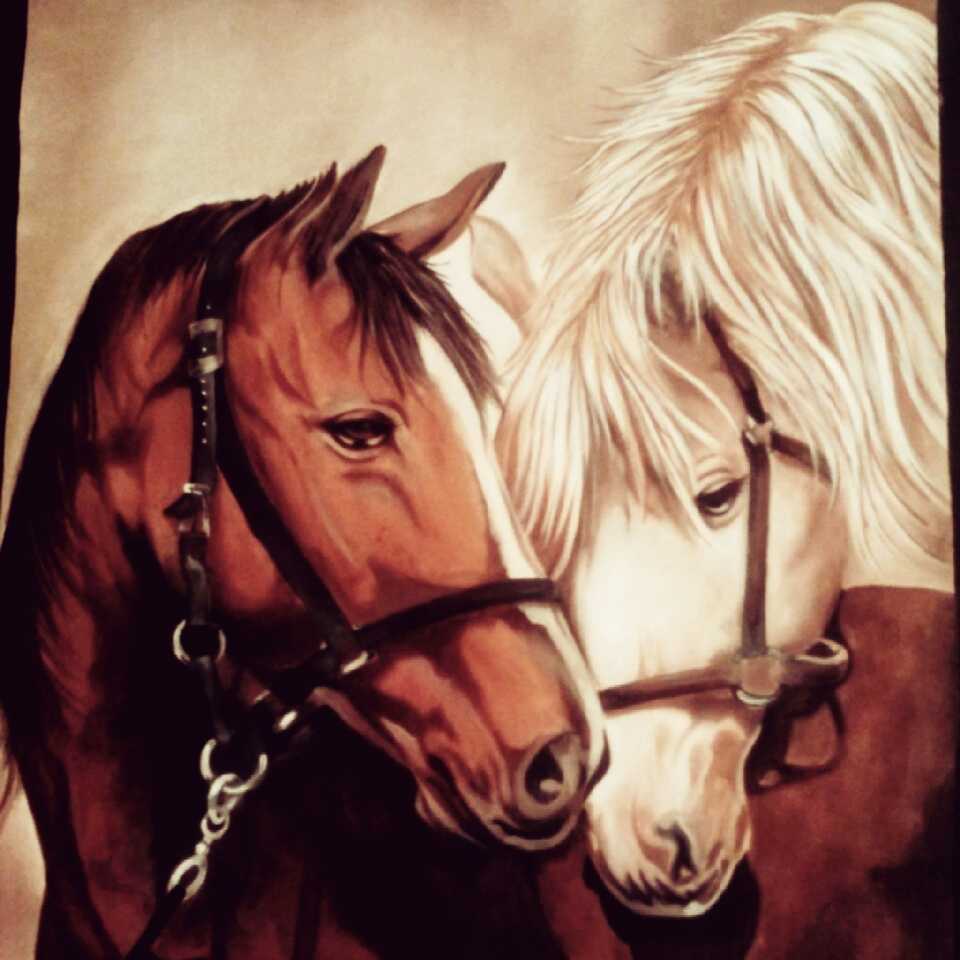 Horse 3