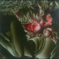 A Woman's Suffering