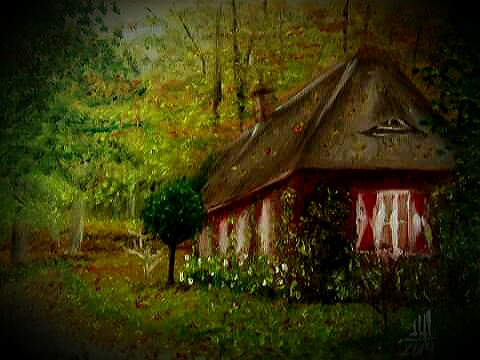 House In The Forest
