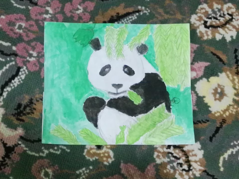 باندا