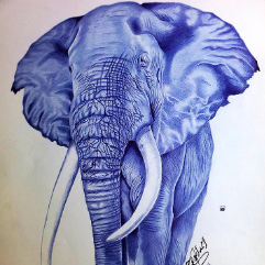 The Elephant