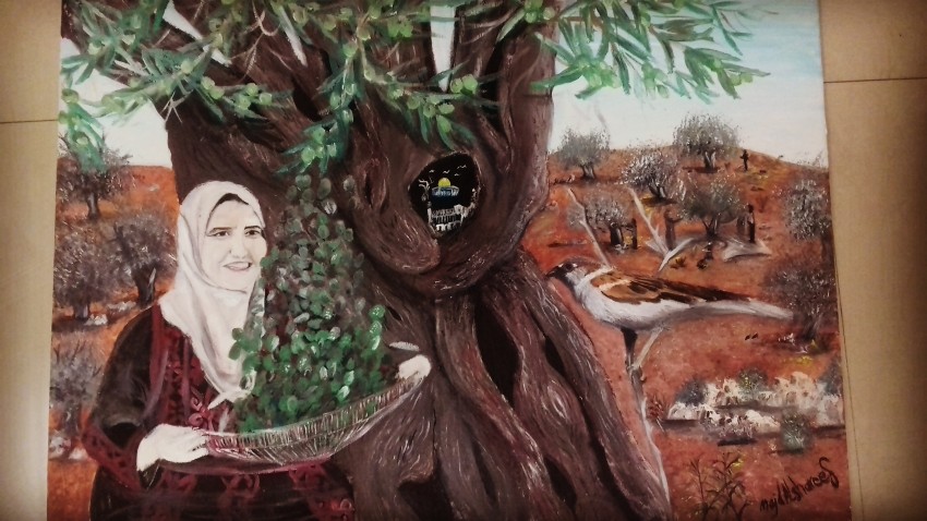 Palestinian Land And Olives