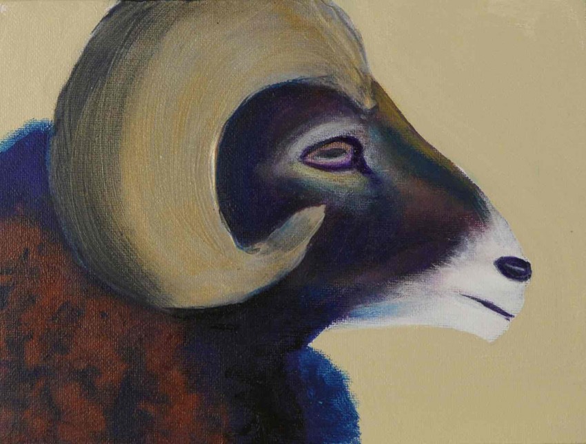 Capricorn