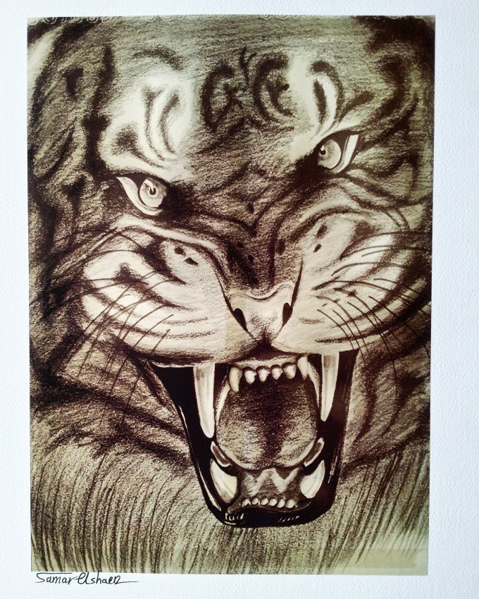 Angry  Tiger