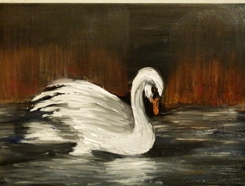 Sad Swan