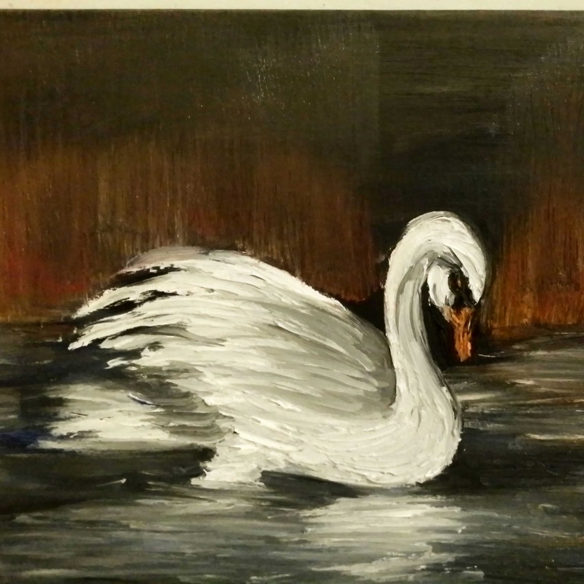 Sad Swan