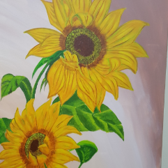 Sun Flowers