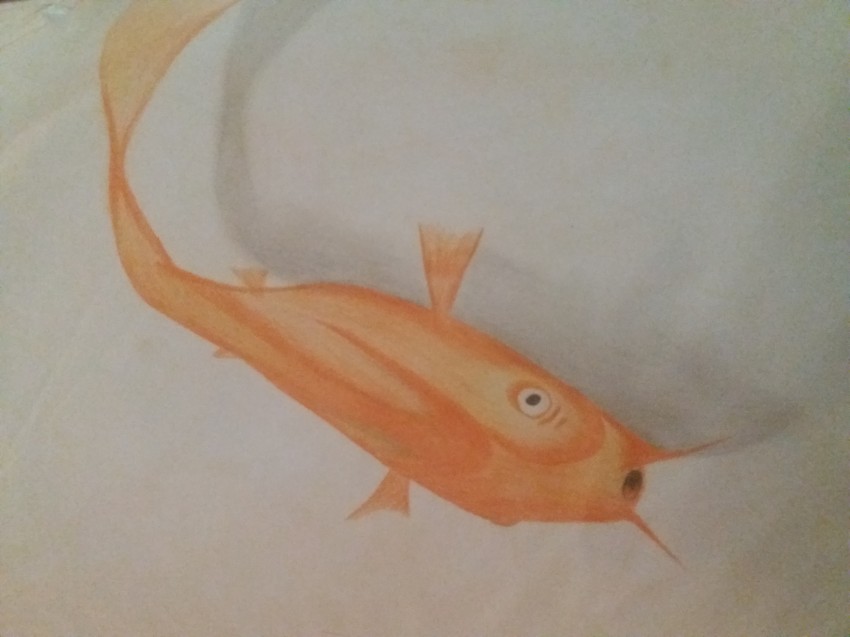 Fish