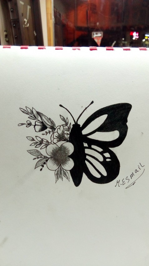 Butterfly And Flowers Two Beauties