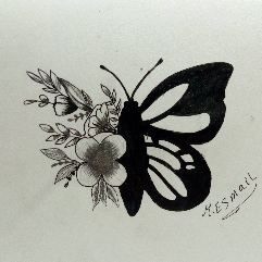 Butterfly And Flowers Two Beauties