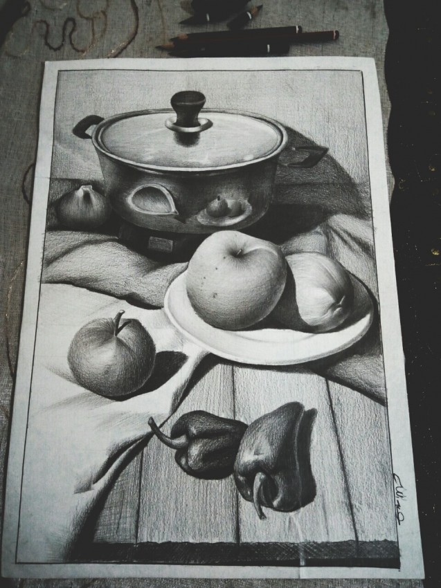 طبيعة صامتة