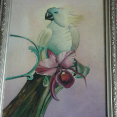 The Parrot