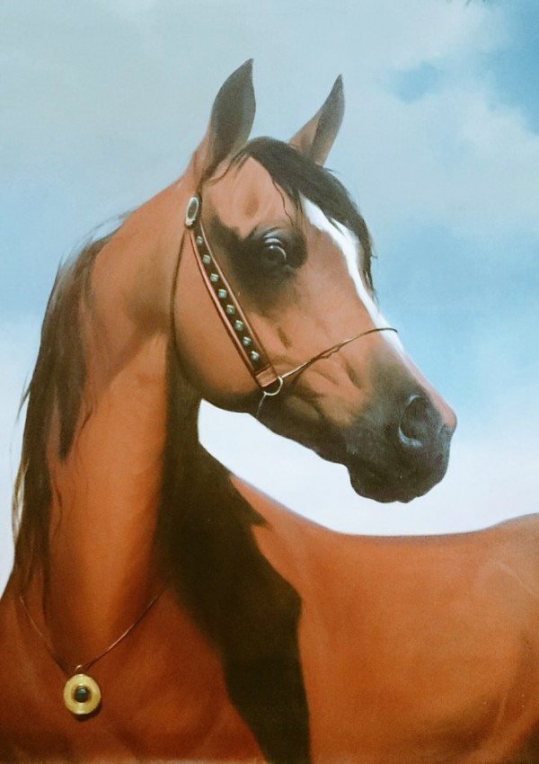 خيل عربي