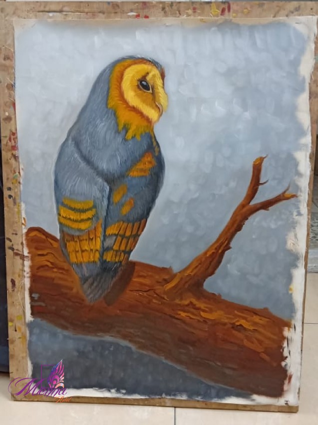 The Owl