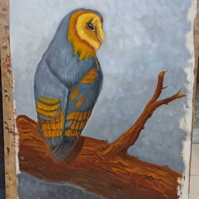 The Owl