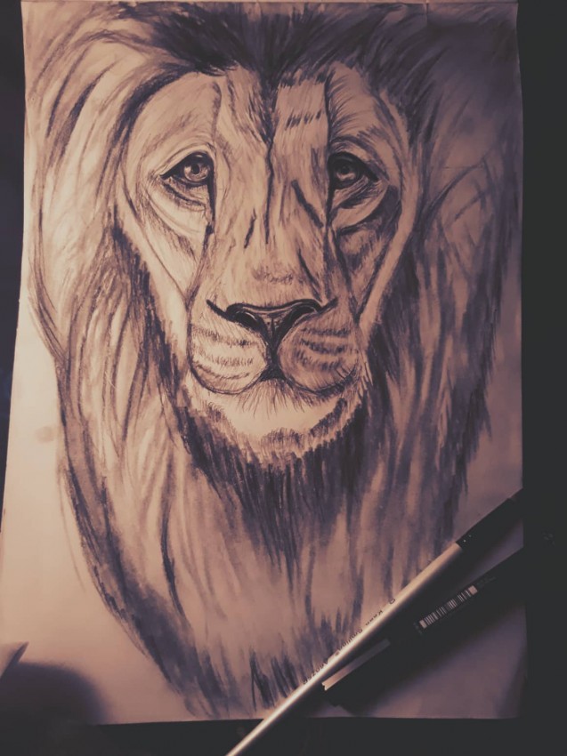 ملك الغابة