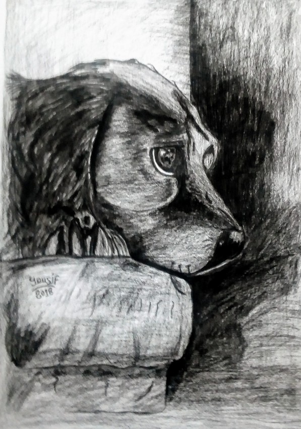 The Sad Dog