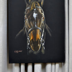 Dark Horse
