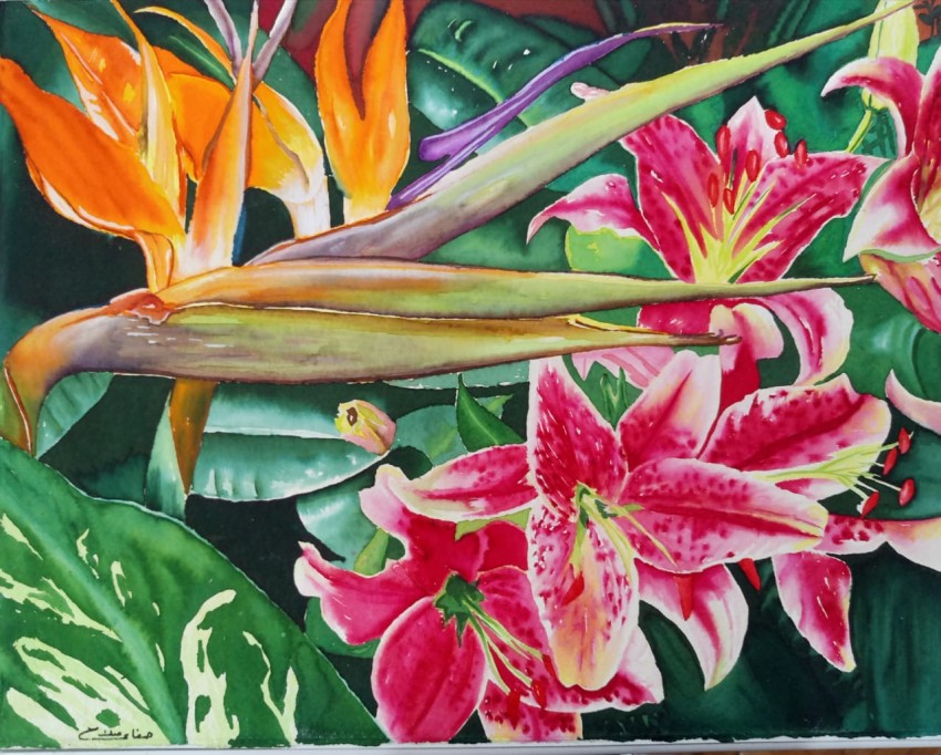 Bird Of Paradise