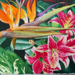 Bird Of Paradise