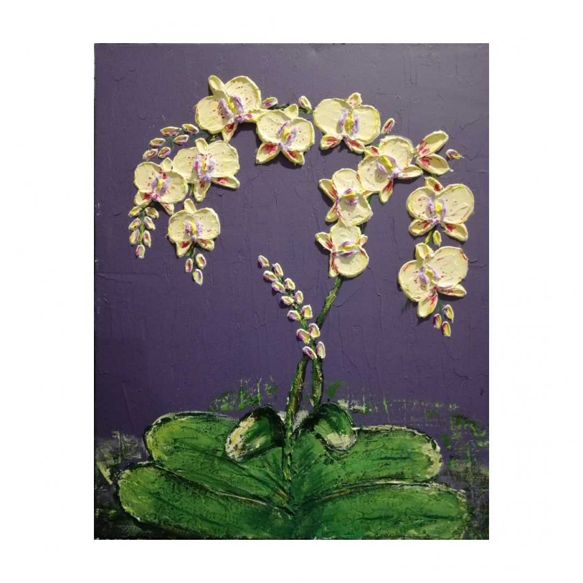 Yellow Orchid