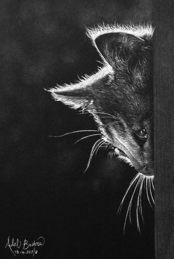 Mourning Of A Voiceless Soul