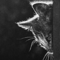 Mourning Of A Voiceless Soul