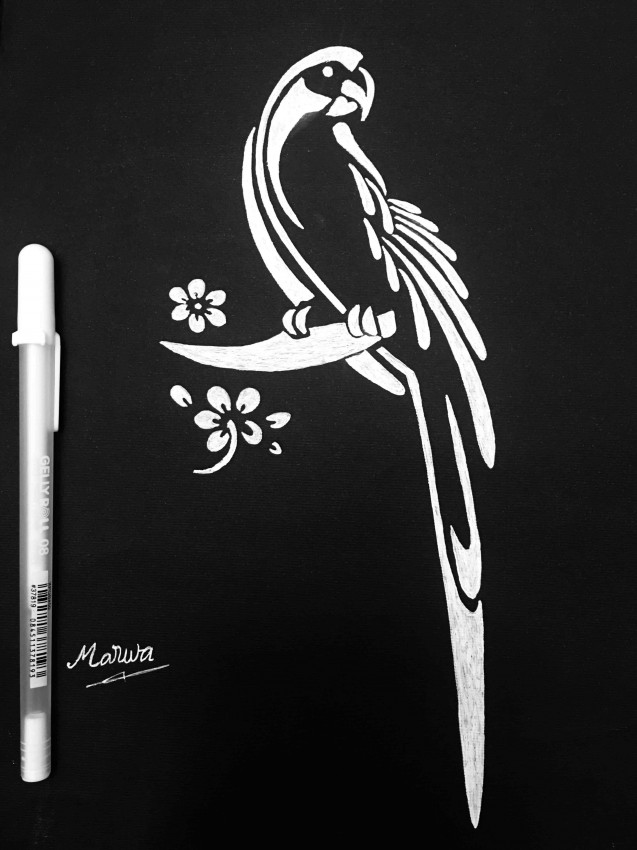 Parrot