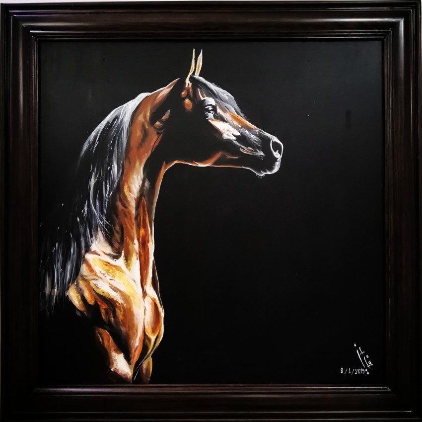 Arabian Horse 2