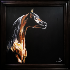 Arabian Horse 2
