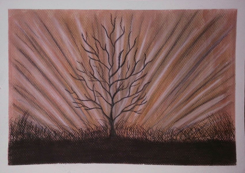 Winter Tree
