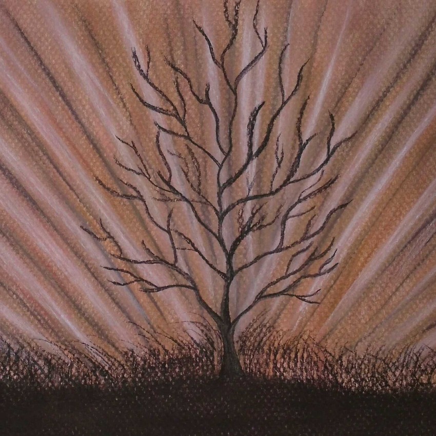 Winter Tree