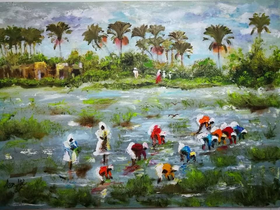 Rice Cultivation