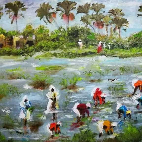 Rice Cultivation