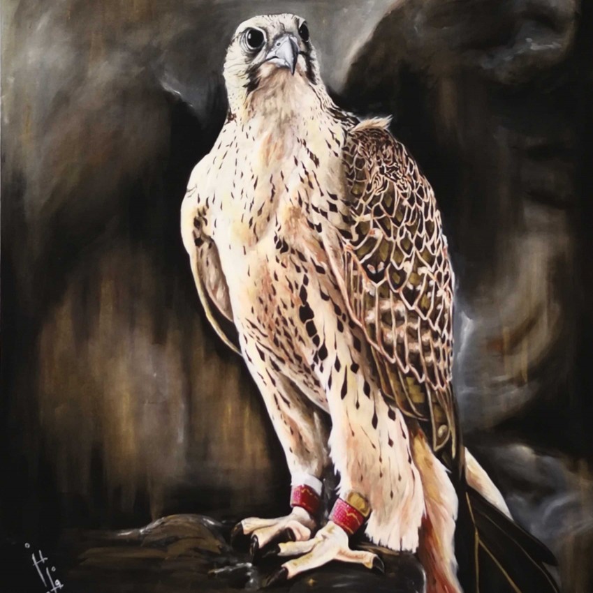 Falcon
