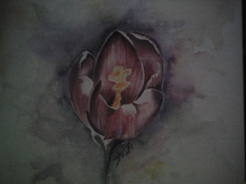 زهره
