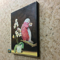 البغبغاء
