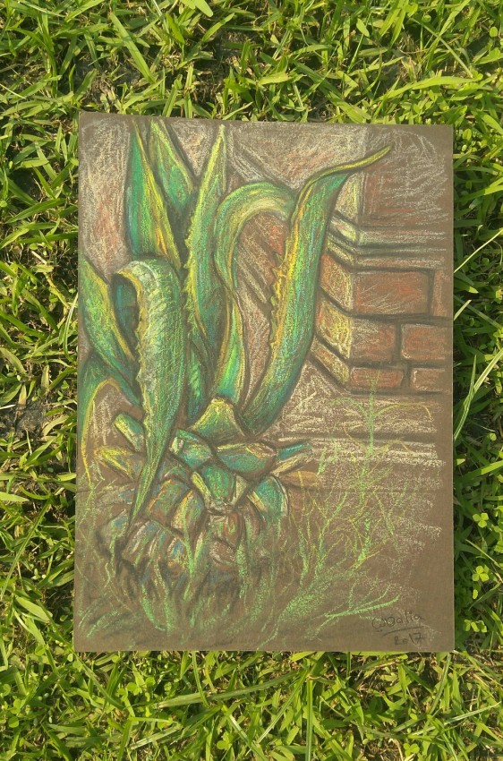 Plant