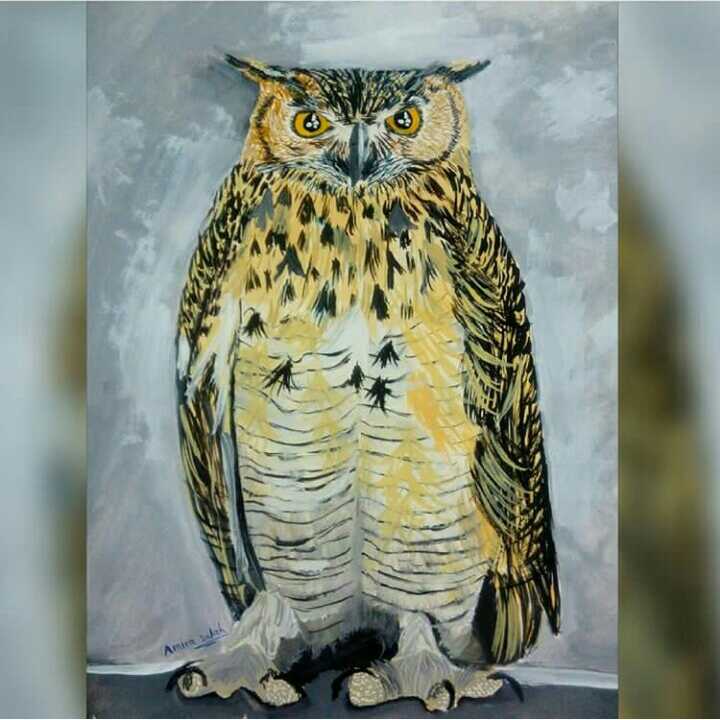 The Yellow Owl