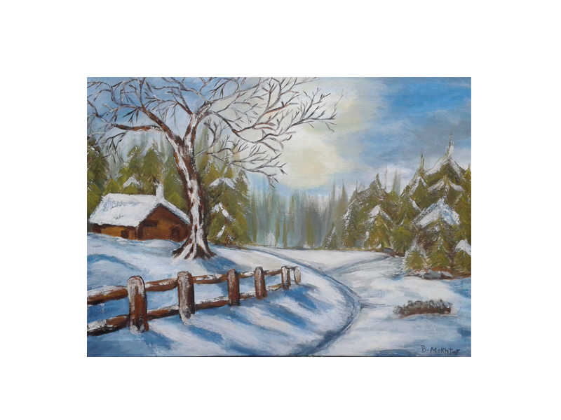 Snow In The Village